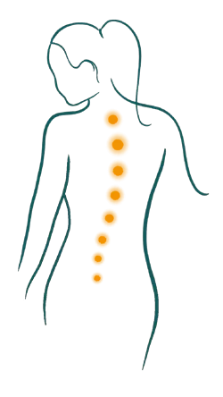 lady spine silhouette