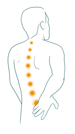 man spine silhouette