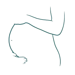 Pregnant lady silhouette